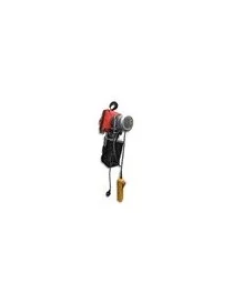 Palan électrique à chaîne BDH-990-3M Chaîne de 3 mètres Capacité de levage de 990 Kg