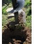 Tarière hydraulique de 200 mm de diamètre pour mini-pelles