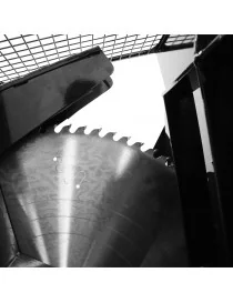 Scie circulaire/scie à bascule avec moteur à essence (WP1)