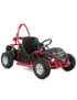 HECHT Accu Buggy