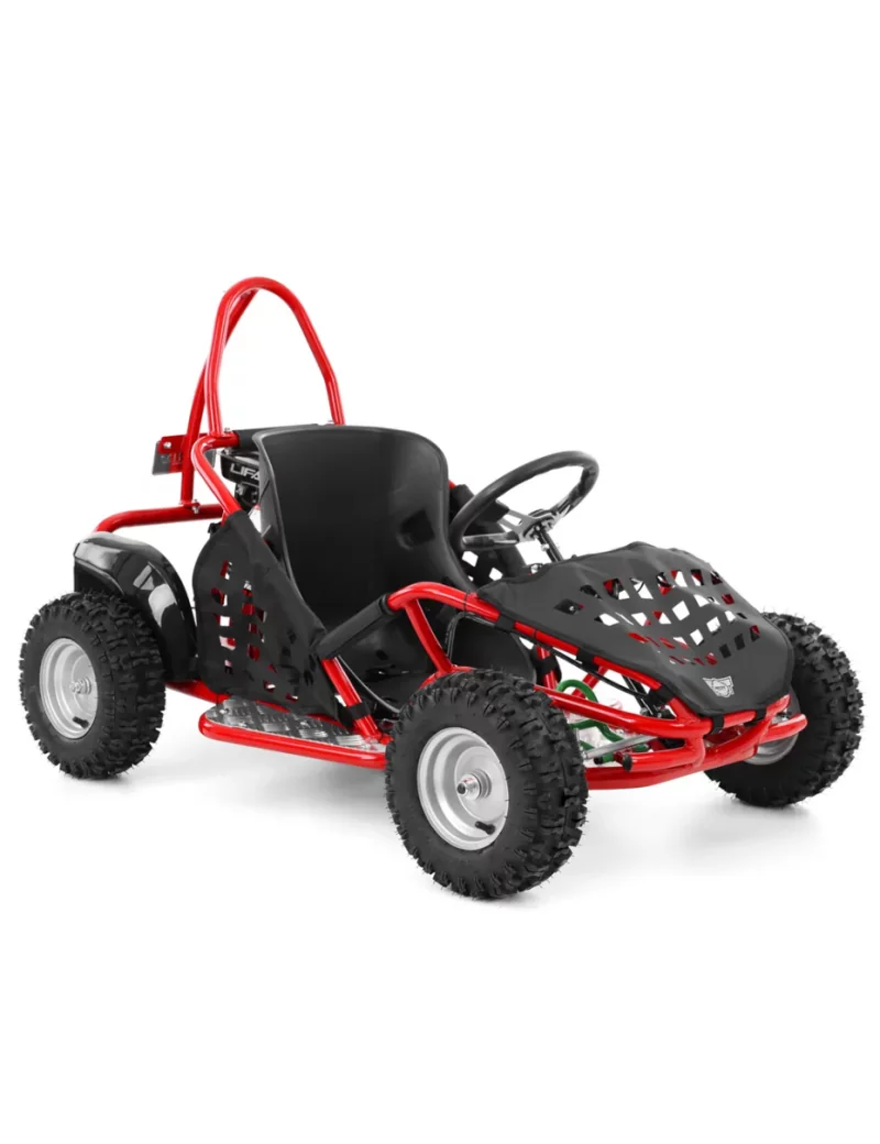 HECHT Buggy à essence