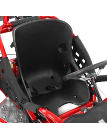 HECHT Buggy à essence