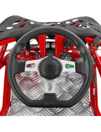 HECHT Buggy à essence