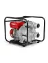 POMPE A MOTEUR 6.5CV Hecht