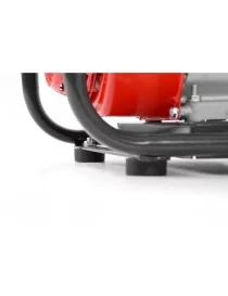 POMPE A MOTEUR 6.5CV Hecht
