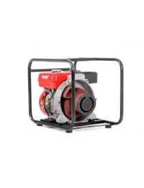POMPE A MOTEUR 6.5CV Hecht