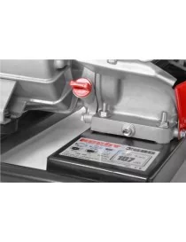 POMPE A MOTEUR 6.5CV Hecht