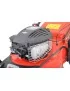 TONDEUSE ESSENCE AUTOMOTRICE 4 CV Hecht