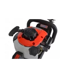TAILLE HAIE THERMIQUE 924 Hecht