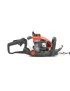 TAILLE HAIE THERMIQUE 924 Hecht