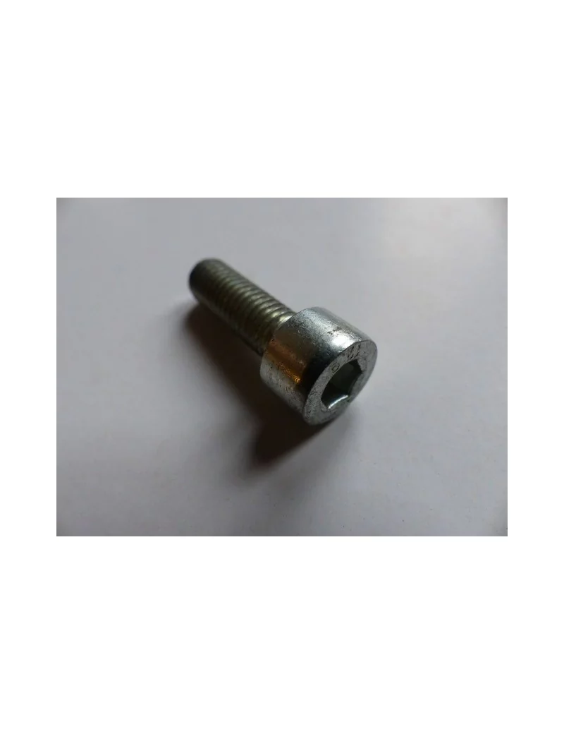 KIT DE 5 VIS FIXATION CONTRE COUTEAU BROYEUR GTS 1500