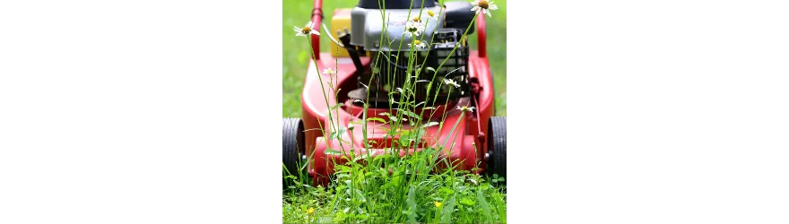 Entretien du jardin